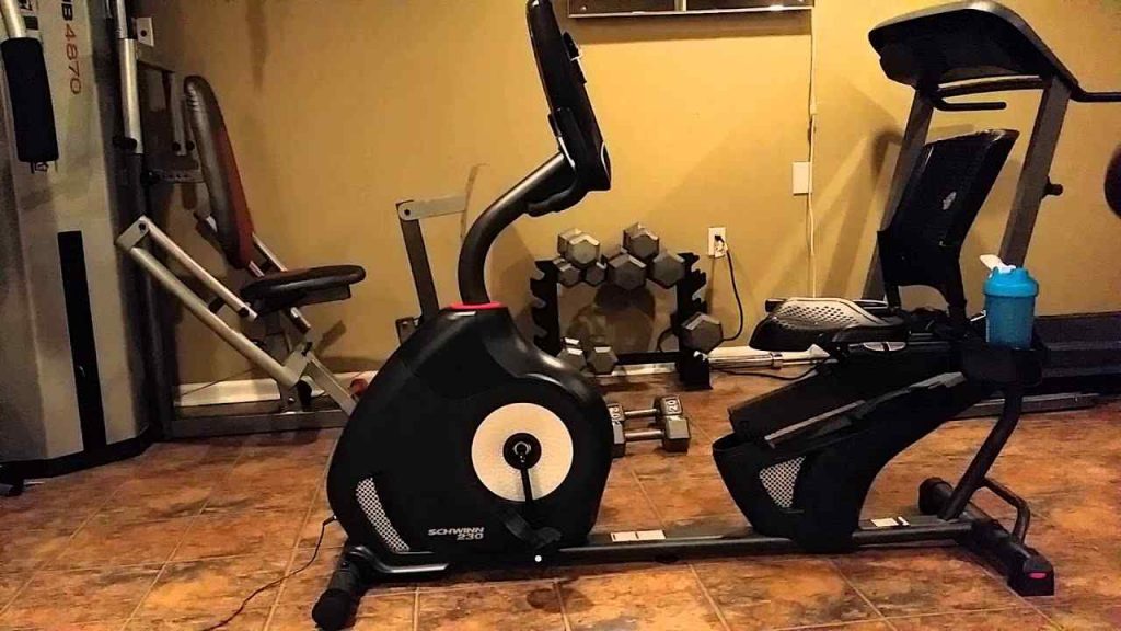 Schwinn 230 Recumbent Bike
