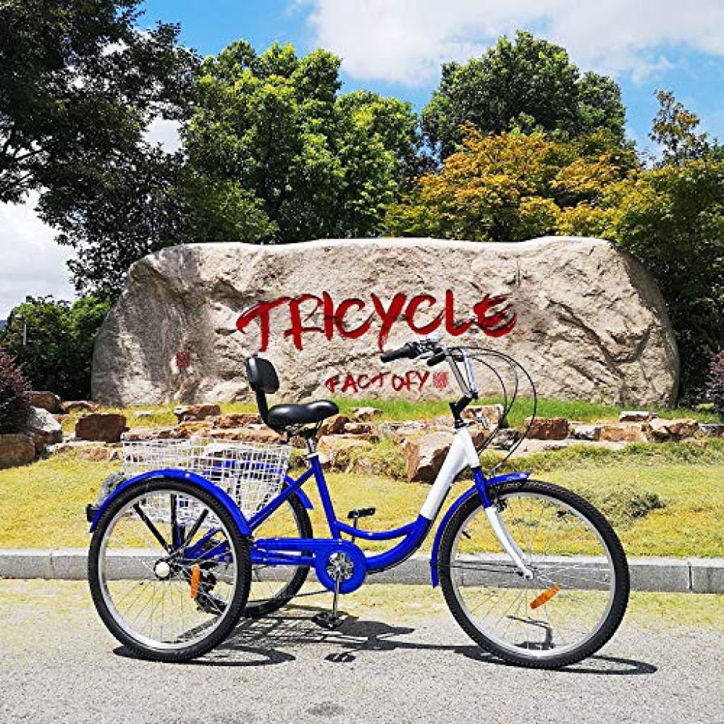 Tricycle for adults with disabilities
