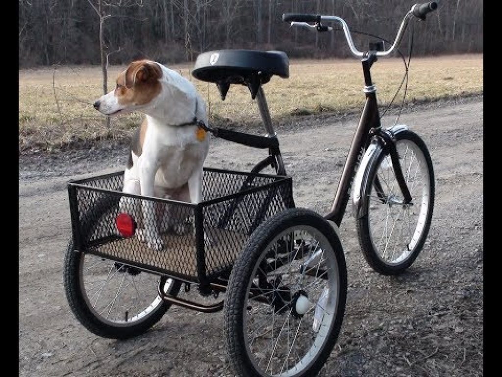 Raleigh Bikes Tristar 3-Speed Trike