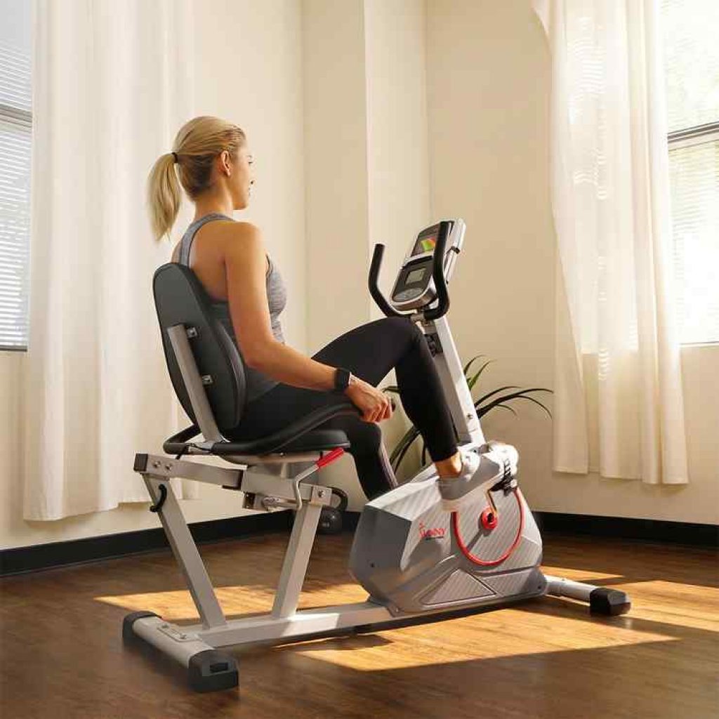 Sunny Health & Fitness Magnetic Recumbent Exercise Bike - SF-RB4953

