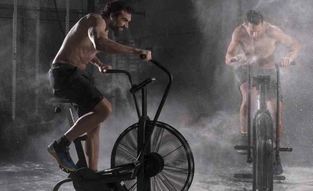 Assault AirBike Classic
