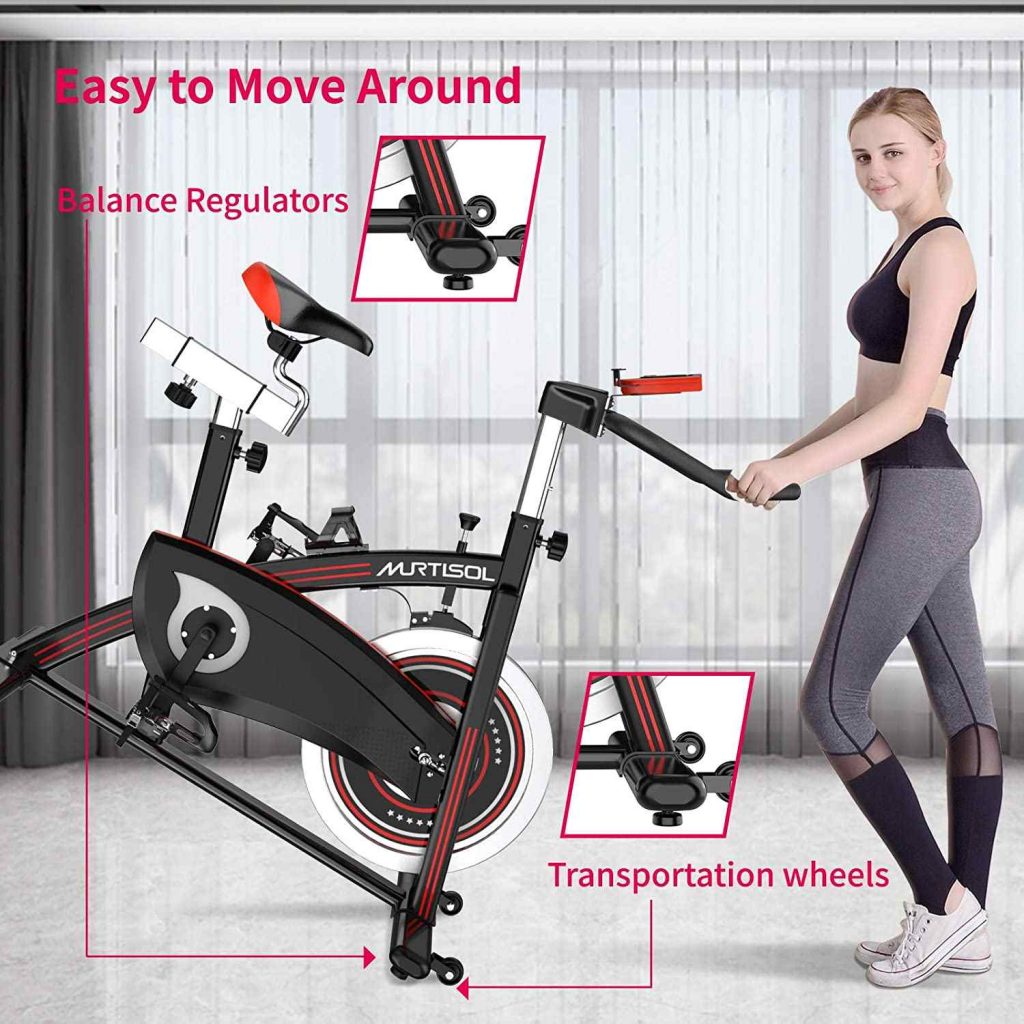 best spin bike under $500