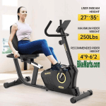 Pooboo W669 Recumbent Bike