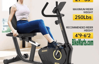 Pooboo W669 Recumbent Bike