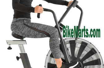 Schwinn ad7 airdyne exercise bike