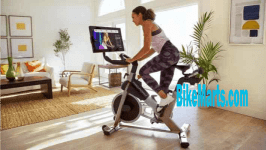 best spin bike under $500