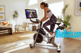 best spin bike under $500