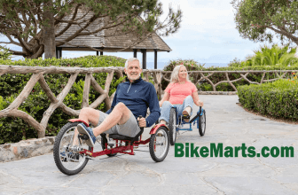 Tricycle for adults with disabilities