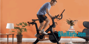 best indoor cycling bike under $300