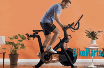best indoor cycling bike under $300