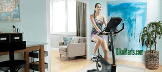 schwinn 170 upright exercise bike