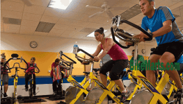 what is the best upright exercise bike for home