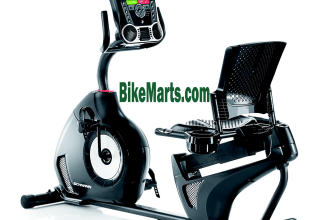 Schwinn 230 recumbent bike