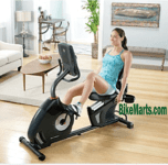 Schwinn 270 recumbent bike