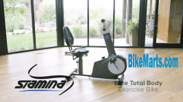 Stamina Elite Total Body Recumbent Bike