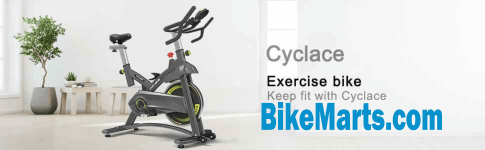 cyclace exercise bike stationary
