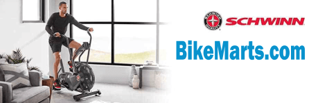 schwinn ad6 airdyne exercise bike