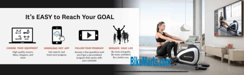 fitness reality rowing machine