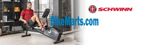 schwinn a20 recumbent bike