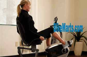 Sunny Health & Fitness Magnetic Recumbent Bike Exercise Bike SF-RB4616