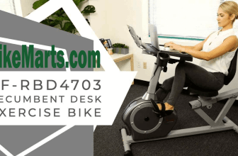 Sunny Health & Fitness Magnetic Recumbent Desk Exercise Bike SF-RBD4703