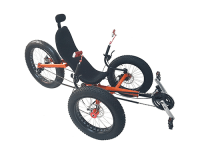 How Many Wheels Does A Trike Have?