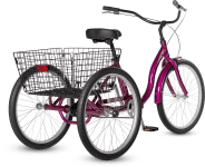 How Much Do Tricycles Cost?