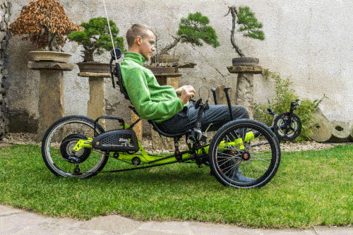 Recumbent Bike For Disabled