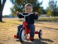 Where to Buy a Tricycle for a 2-Year-Old