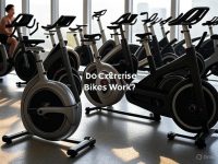 Do Exercise Bikes Work