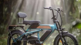 What Is the Best Electric Tricycle