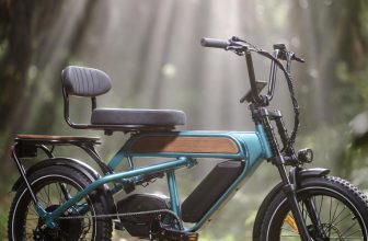 What Is the Best Electric Tricycle