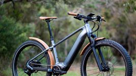 What Are the Disadvantages of Electric Bikes