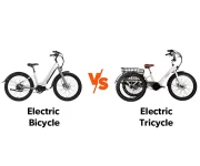Are Tricycles Safer Than Bikes