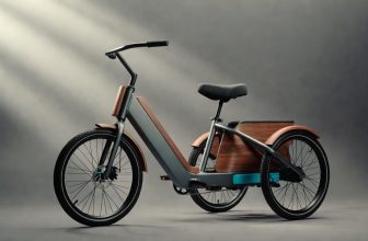 What is the Best Rated Adult Tricycle Bike