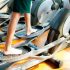 Can I get some advice about buying a treadmill?