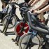 What is the quality of Schwinn bicycles?