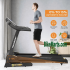 NordicTrack NTEX76016 Commercial Vr21 Recumbent Bike