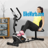 Stamina Recumbent Exercise Bike with Upper Body Exerciser