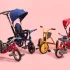 Where to Buy Adult Trike?