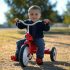 Who Makes the Best Adult Tricycle?