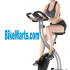 Stamina Elite Total Body Recumbent Bike