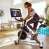 Schwinn ad7 airdyne exercise bike