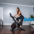 Schwinn 250 recumbent bike