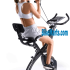 Schwinn 250 recumbent bike