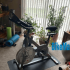 Bowflex dumbbells 1090 review